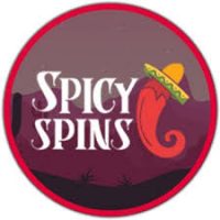 spicy spins logo