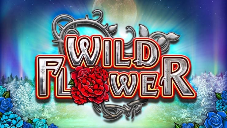 Wild Flower de Big Time Gaming