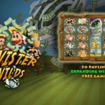 Twister Wilds presentation