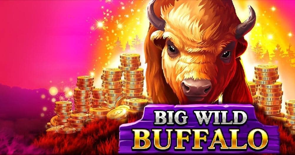 Big Wild Buffalo de Belatra Games