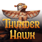 Thunder Hawk logo