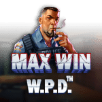 logo Max Win WPD