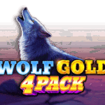 Wolf Gold 4 Pack logo